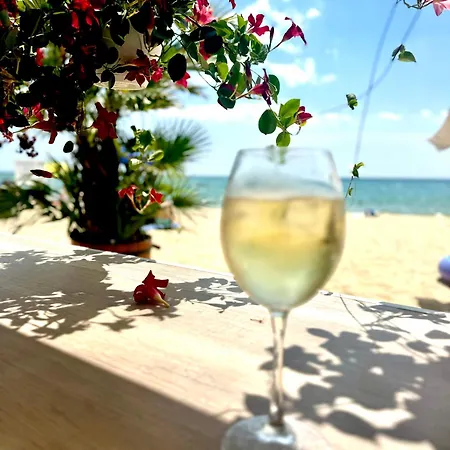 Daire Nancy Sea View *